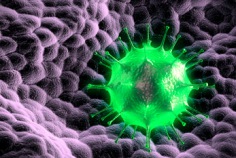 Virus Appreciation Day 2026