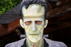 Frankenstein Friday 2026