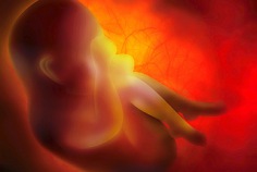 National Sanctity of Human Life Day 2026