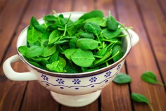 Fresh Spinach Day 2026