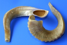 Rosh Hashanah 2024