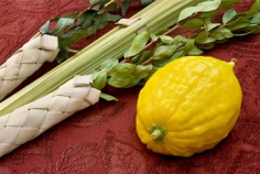 Sukkot 2025