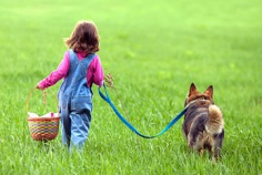 Walking the Dog Day 2026