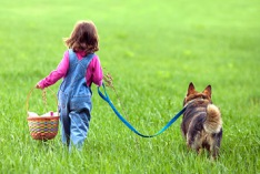 Walking the Dog Day 2026