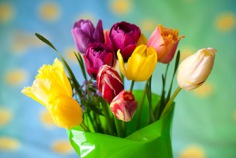 Floral Design Day 2026