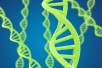 DNA day 2027