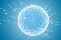 Goddess of Fertility Day 2025