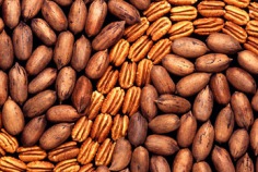 National Pecan Day 2026