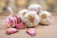 National Garlic Day 2026