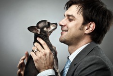 Take Your Dog to Work Day 2027