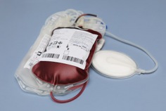 World Blood Donor Day 2025
