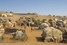 World Refugee Day 2026