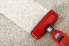 Lumpy Rug Day 2027