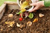 Learn About Composting Day 2021