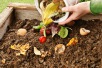 Learn About Composting Day 2020