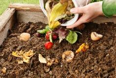 Learn About Composting Day 2023