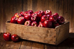 Savior of the Apple Feast Day 2026