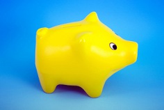 Yellow Pig Day 2026