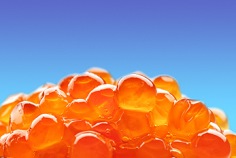 National Caviar Day 2026