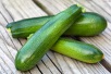 Sneak Some Zucchini onto Your Neighbor's Porch Day 2027