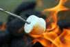 Toasted Marshmallow Day 2018