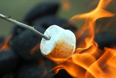 Toasted Marshmallow Day 2026