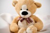 Teddy Bear Day 2022